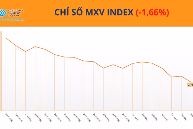 Chỉ số MXV-Index.