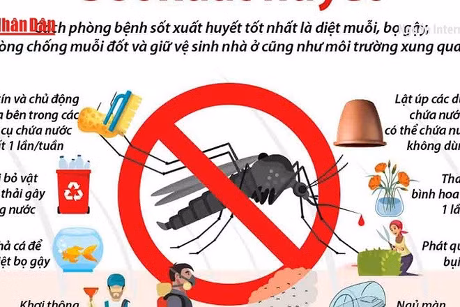 [Video] Chủ động phòng, chống sốt xuất huyết những tháng cuối năm