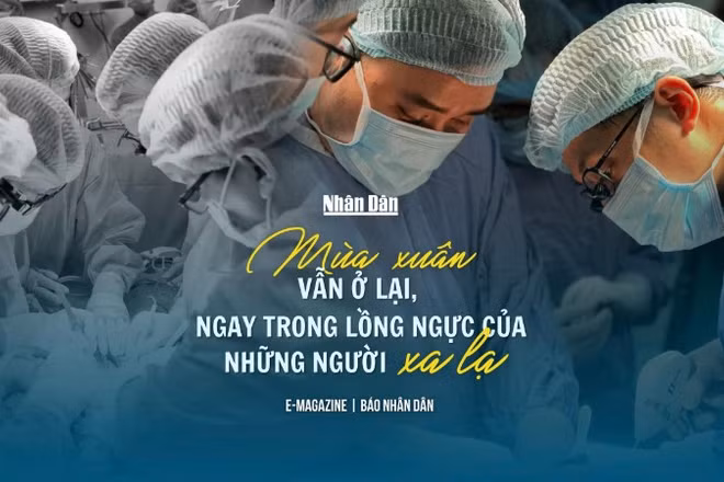 Mùa xuân vẫn ở lại, ngay trong lồng ngực của những người xa lạ