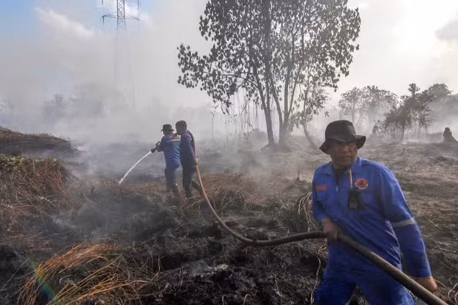 Lính cứu hỏa nỗ lực dập lửa cháy rừng tại Pekanbaru, tỉnh Riau, Indonesia trong mùa khô năm 2025. (Ảnh: THX/TTXVN)