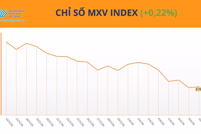 Chỉ số MXV-Index.