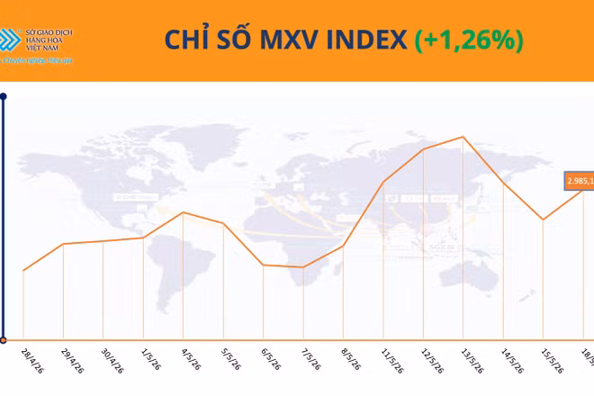 Chỉ số MXV-Index.