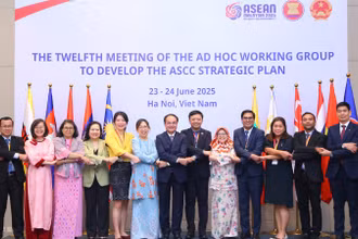 Đại diện Đoàn đại biểu các nước thành viên chụp ảnh tại Cuộc họp. (Ảnh: MOHA)