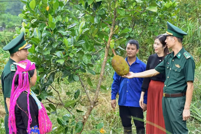 Cán bộ Đồn Biên phòng Bắc Sơn triển khai mô hình “Vườn kiểu mẫu” giúp dân phát triển kinh tế-xã hội. (Ảnh: Bộ đội Biên phòng tỉnh Quảng Ninh)