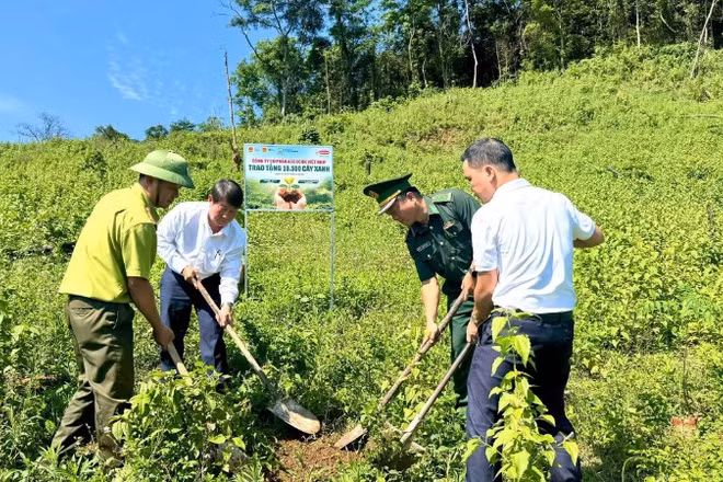 Khu vực trồng cây thuộc thôn Trăng - Tà Puồng, xã Hướng Lập, tỉnh Quảng Trị.