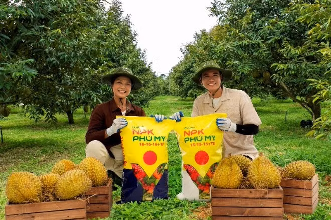 NPK Phú Mỹ ngày càng được cải tiến, hoàn thiện đáp ứng nhu cầu đa dạng của bà con nông dân.