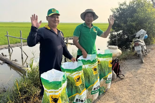 Nông dân Cần Thơ sử dụng phân bón BiO Canxi thế hệ mới trong quy trình cải tạo đất, góp phần giảm phát thải và nâng cao hiệu quả sản xuất.