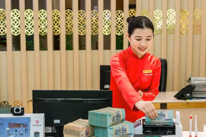 SeABank đã huy động tổng cộng 1,1 tỷ USD vốn ngoại cho các hoạt động tài chính toàn diện, bền vững.
