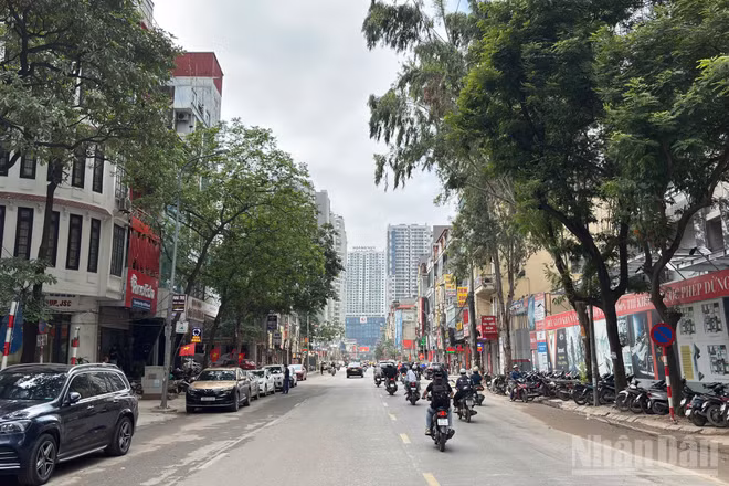 [Ảnh] Hà Nội: Diện mạo mới trên tuyến phố Nguyễn Tuân