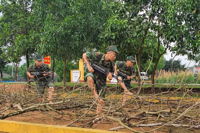 Sư đoàn 325 luôn coi trọng tổ chức huấn luyện theo phương châm “Cơ bản, thiết thực, vững chắc”. 