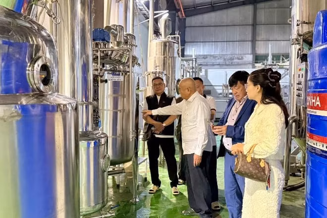 Hệ thống sản xuất Nam dược được đầu tư theo hướng hiện đại tại Công ty trách nhiệm hữu hạn Y Dược Vi Diệu Nam